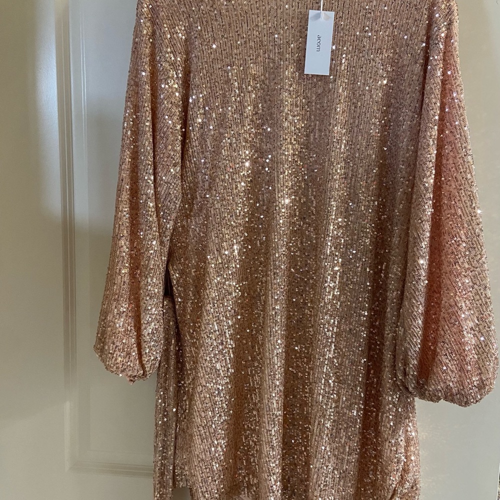 Rose gold sequin dress